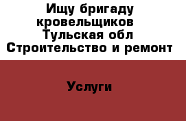 Ищу бригаду кровельщиков - Тульская обл. Строительство и ремонт » Услуги   